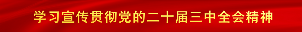 学习宣传贯彻党的二十届三中全会精神（已归档）