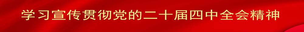 学习宣传贯彻党的二十届四中全会精神